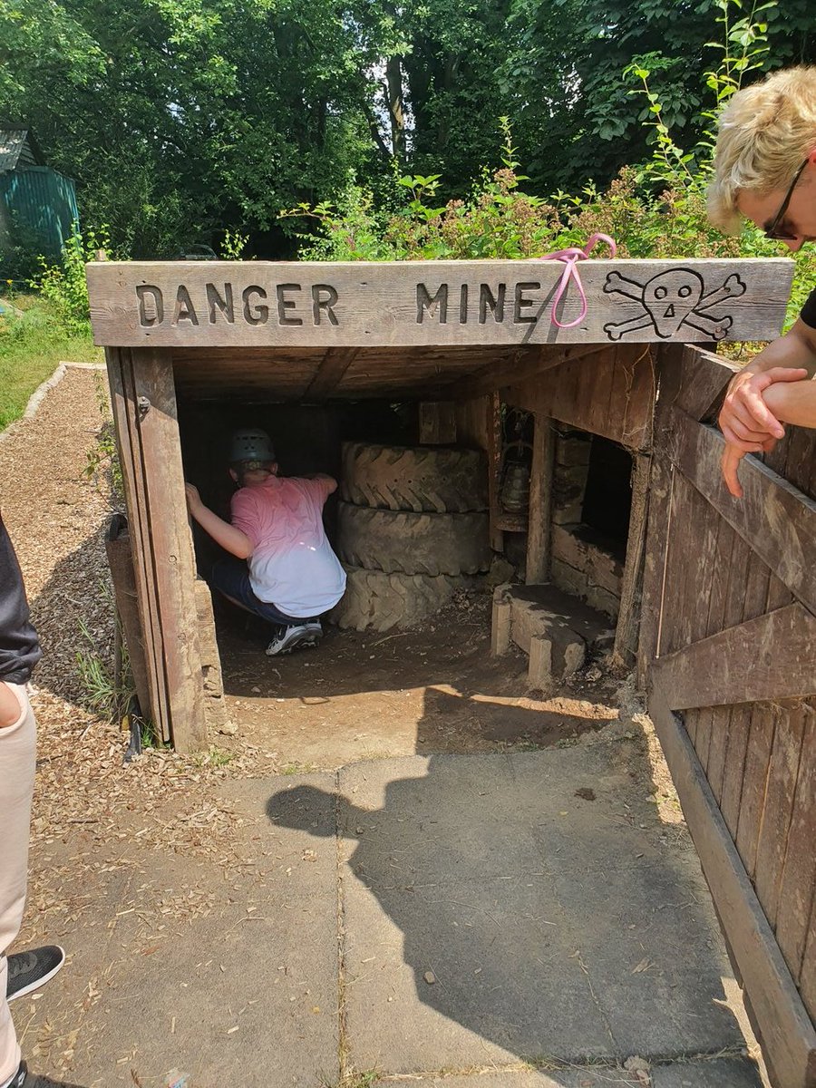 Timbertree Year 6 tweet media