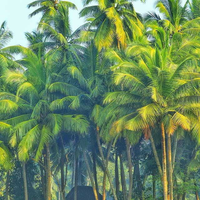 Praveen_nature's tweet photo. చూపుల మది నీదైతే సోయగమంతా ప్రకృతిదే...
Beauty of nature...
#Nature #NatureLover
#NatureShot #India #NaturePhotography
#Greenary #Feilds #Tourism https://t.co/eH7QVrCRXD