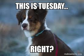 Yes, it is #Tuesday.  Few more days...

#dogbloggers #Dogwriters #dwaa #weekendahead #dogs #pets #furryfamilymembers #goodday #happy #smile