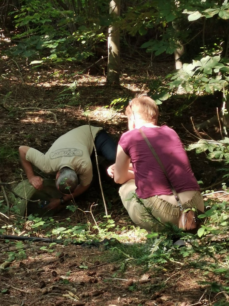 @bea_mieris en ik hadden nog een vraag openstaan, en wel waar zijn de onderdoorgang voor de amfibieën, vossen, marterachtige enz op de Bredaseweg? Wij konden ze niet vinden. Maar onze <a href="/Stadsecoloog013/">Mischa Cillessen</a> wist ze precies te zitten. #leerzaam