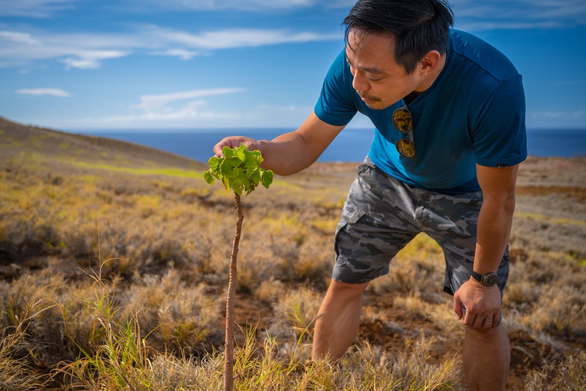TF_Global's tweet image. At @TF_Global, we're a unique mix of #ForestTech experts &amp;amp; creative communicators brought together by a shared commitment: solving climate change &amp;amp; building a healthy 🌍 for the next generation.

Meet the team that is helping redesign our future 👉🏾 bit.ly/2U4UCSa