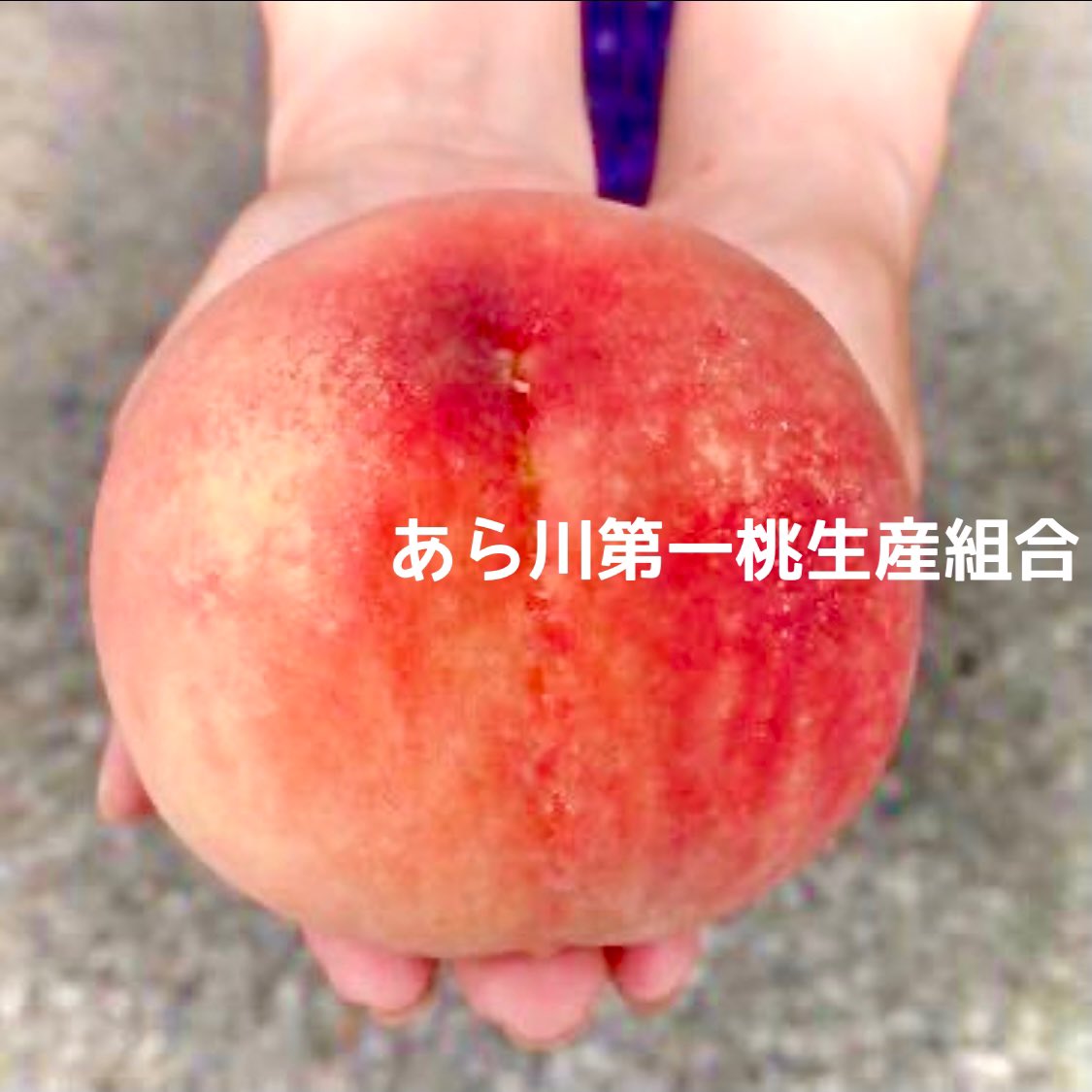 あら川第一桃生産組合 Arakawadai1 Twitter