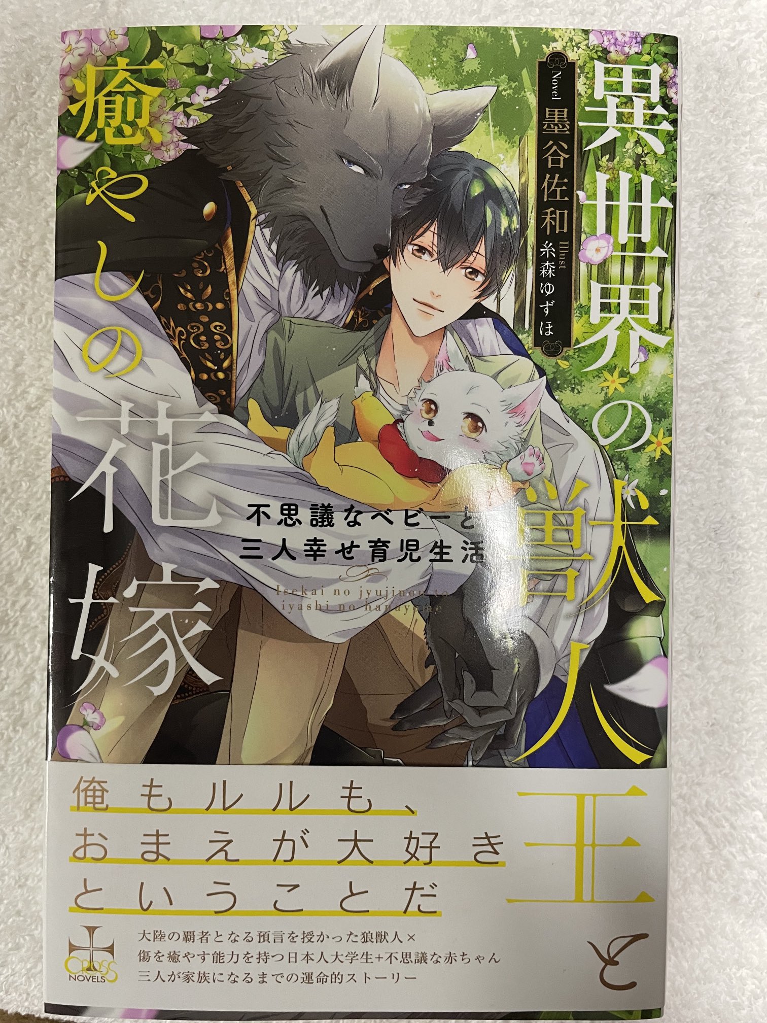 異世界の獣人王と癒やしの花嫁 Twitter Search Twitter