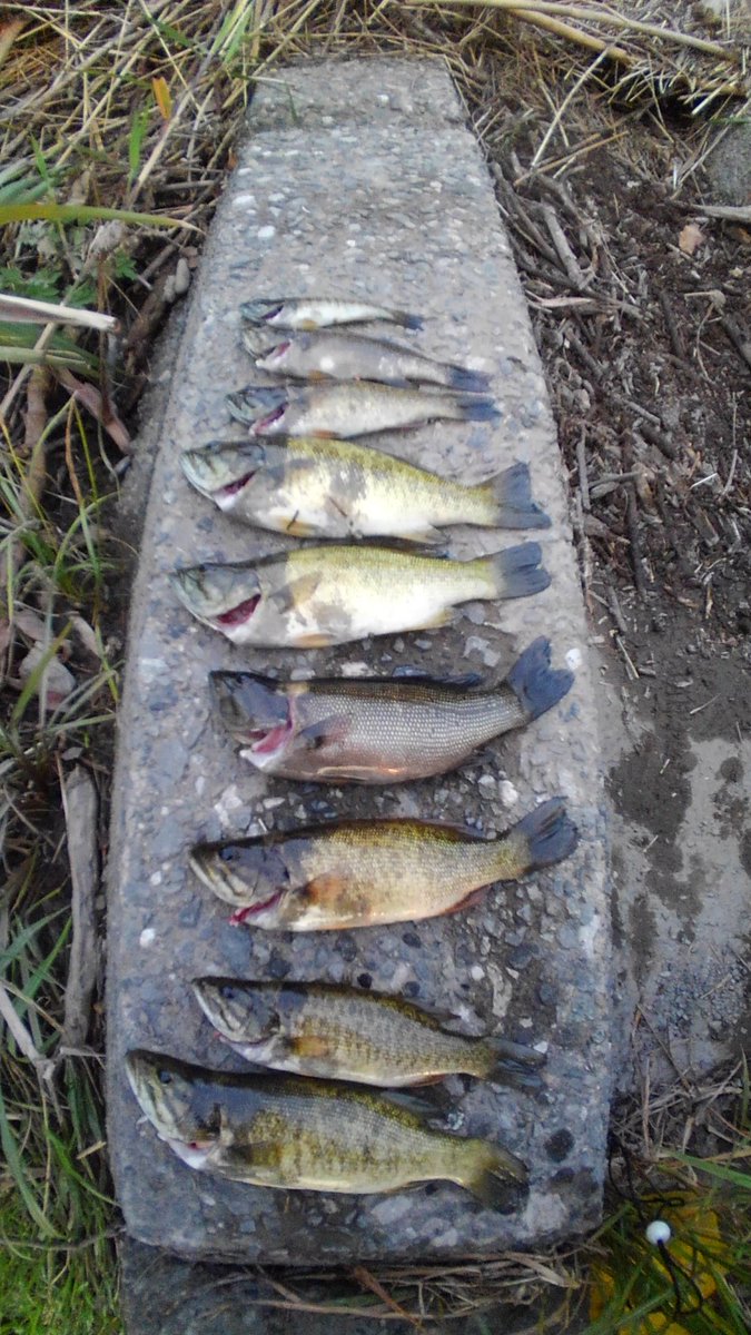 男のロマンチャンネル C7vjkfzd6jqzfif Twitter