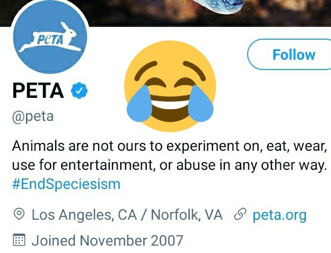 NaveenRajputh2's tweet photo. Are you comedy me? 🤣🤣🤣🤣😂
@peta
#goatlivesmatter
#GOAT
#PetaExposed https://t.co/JOrOHKghy3