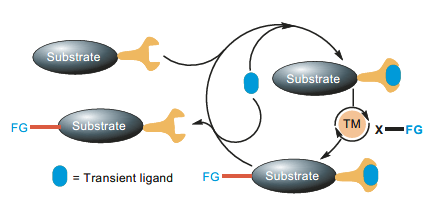 Nature Reviews Chemistry (@natrevchem) on Twitter photo Transient directing ligands for selective metal-catalysed C–H activation nature.com/articles/s4157… A Review by @Nupur_DMLab ,
@TrishaB76564473 and <a href="/maiti_iitb/">Debabrata Maiti</a> at <a href="/iitbombay/">IIT Bombay</a> Transient directing ligands for selective metal-catalysed C–H activation nature.com/articles/s4157… A Review by @Nupur_DMLab ,
@TrishaB76564473 and <a href="/maiti_iitb/">Debabrata Maiti</a> at <a href="/iitbombay/">IIT Bombay</a>