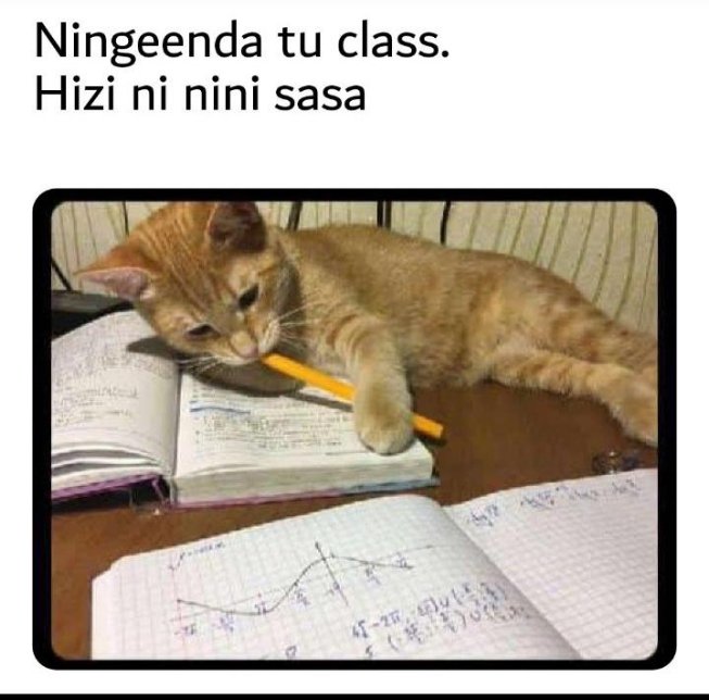 PascalzPoppin's tweet photo. Ukidropiwa Pdf after kukosa session 🤣🤣🙌 https://t.co/GGj0jIIKBu