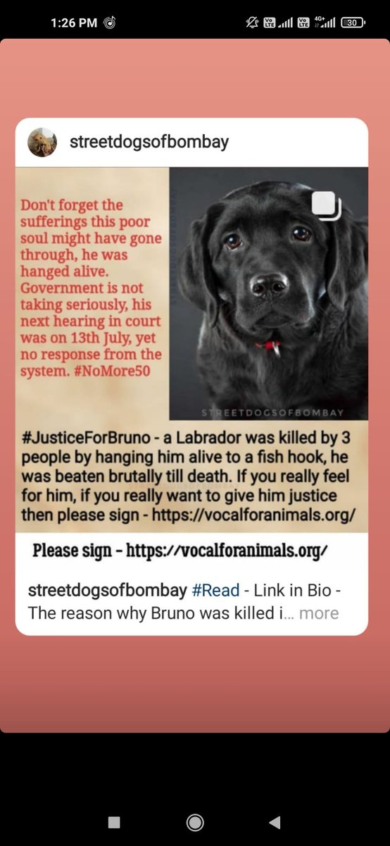 Shubham47105680's tweet photo. #SaveAnimals #animalwrites https://t.co/fQjTGalf76