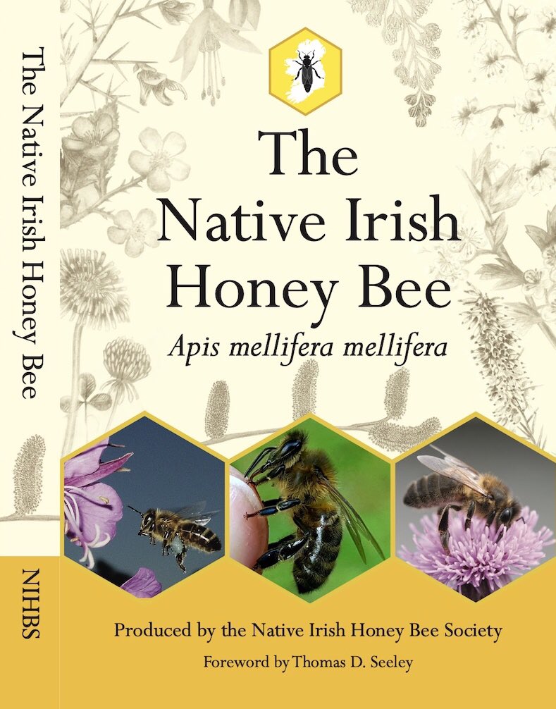 We’re publishing a book 18/9: “The Native Irish Honey Bee, Apis mellifera mellifera.”

Its aim: increase awareness of the #nativeirishhoneybee &amp; its role as pollinator &amp; honey producer + the need for conservation.

#apismelliferamellifera #bees #beekeeping #buynativebees