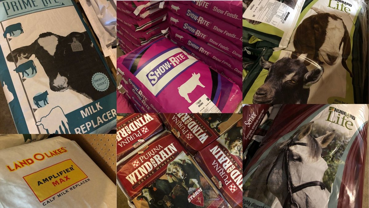 Fair season is here and we are featuring several options for various species and to promote optimum results for those showing livestock. 
Learn more: chsrochester.com/livestock-show…