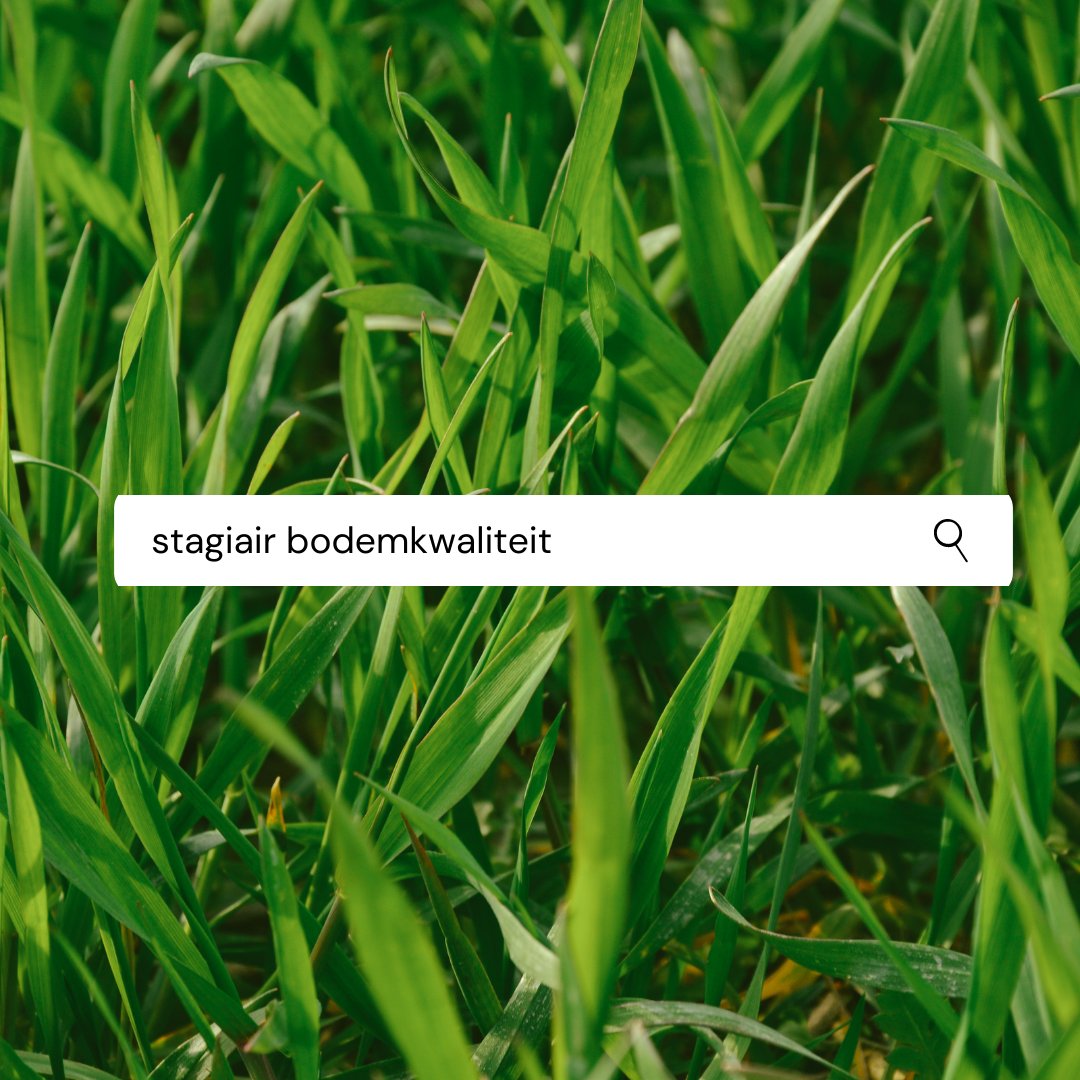 Zoek jij een (afstudeer)stage rondom regeneratieve landbouw? Heb je uitzonderlijke interesse in bodem? Wij hebben de perfecte plek voor jou!

Werken bij <a href="/Wij_land/">Wij.land (@wij_land@mastodon.nl)</a> is bijdragen aan regeneratieve landbouw in een leuk team. Reageer via wij.land/vacatures/

#vacature #stage