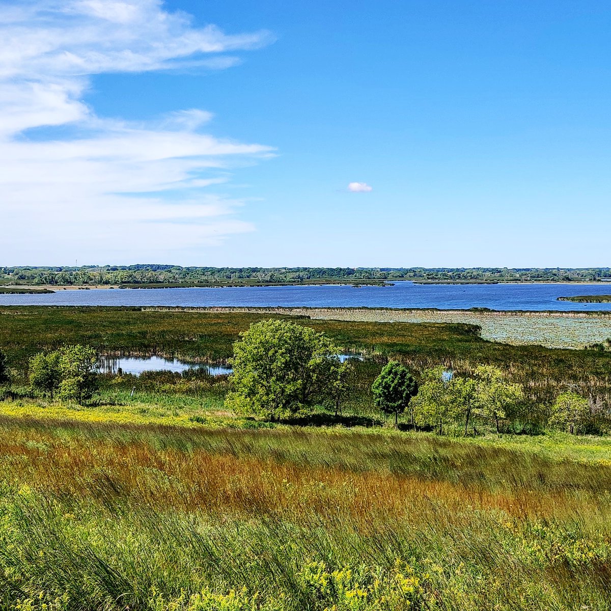 out_trail's tweet photo. A beautiful summer day in Wisconsin.
#discoverWisconsin #OutdoorWisconsin
#Marsh https://t.co/WCm0DnArWH