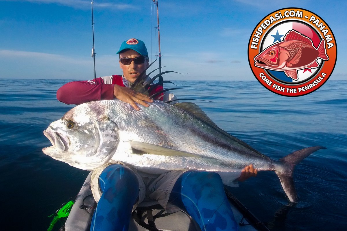 SamTheBigFish's tweet photo. Day 2 of Sams Kayak fishing produced yet another personal best for him....this GIANT ROOSTERFISH!!! What a beast! #fishpedasi https://t.co/O4Nw6BnANu