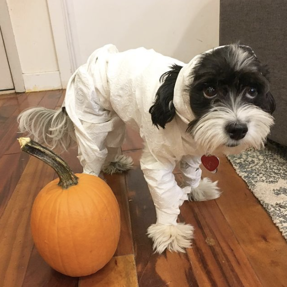 Sam Wells tweet media