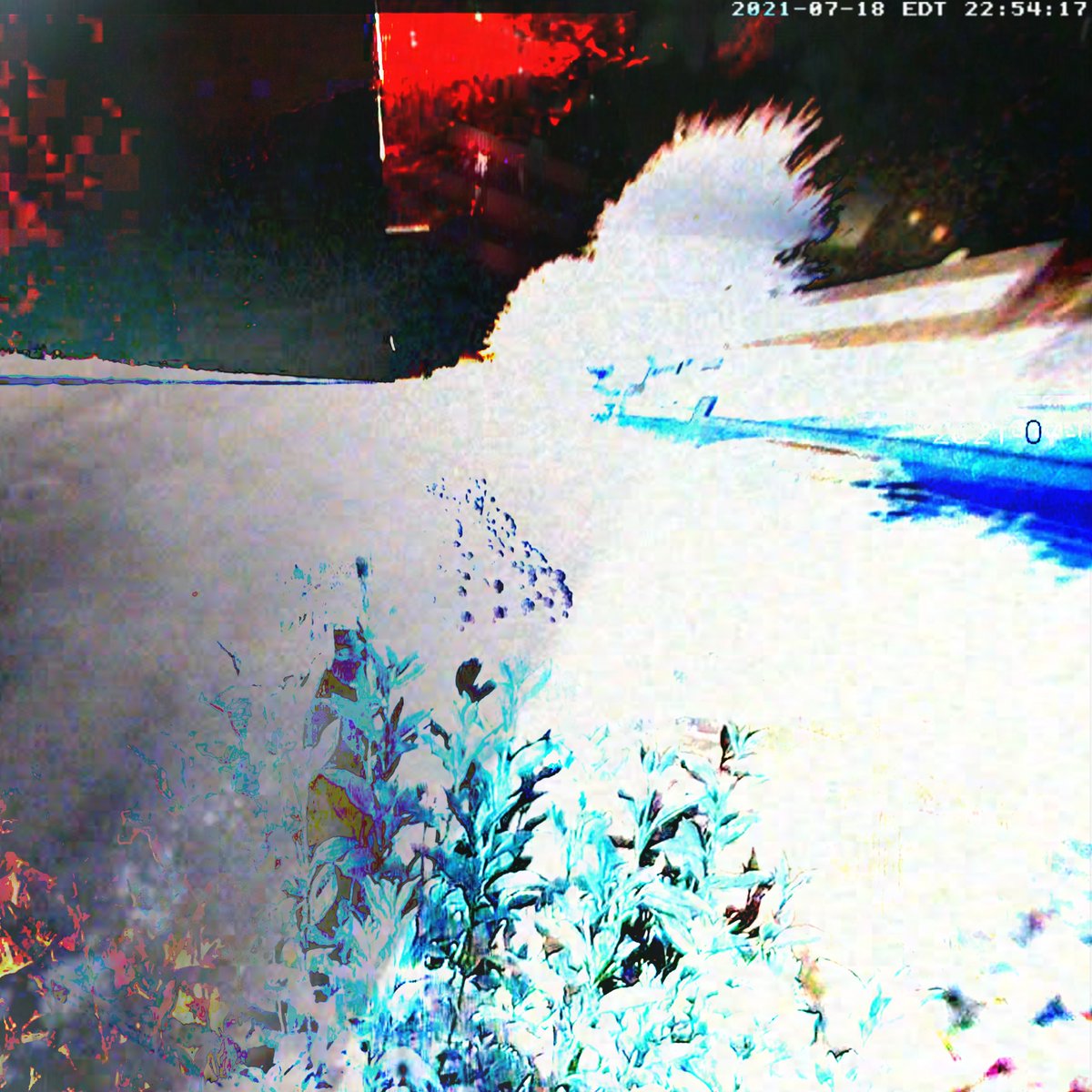 cctvhell tweet picture
