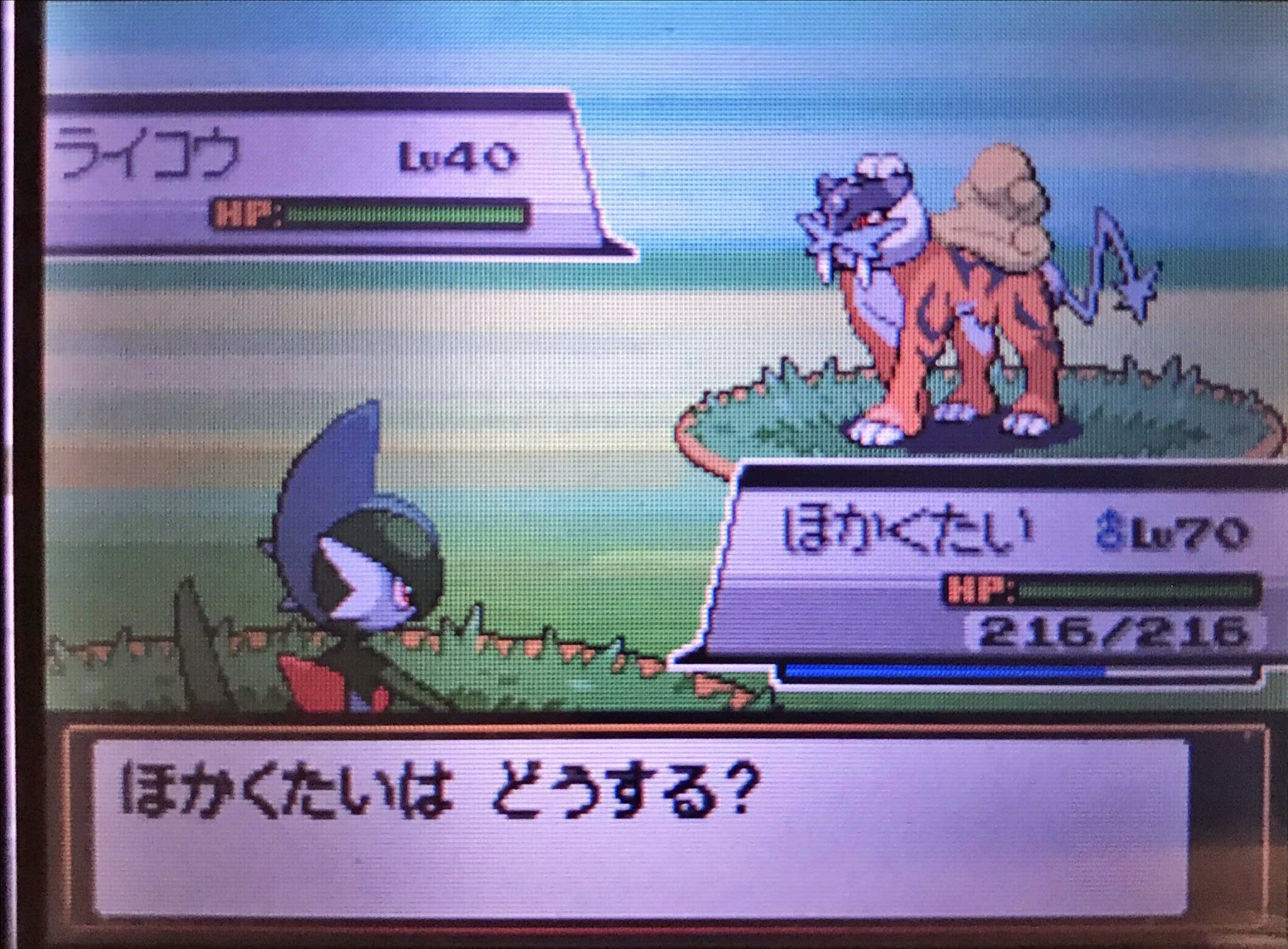 セイ 色ライコウ A05v なはず 数ヶ月ぶりのやけたとう乱数2回目成功 100以上必要な消費後の徘徊位置でseed確認して2フレームズレ3回引いたのでみんなはマイクへの電話でちゃんとseed合ってるか確認してから消費終わらせような ポケモンhgss
