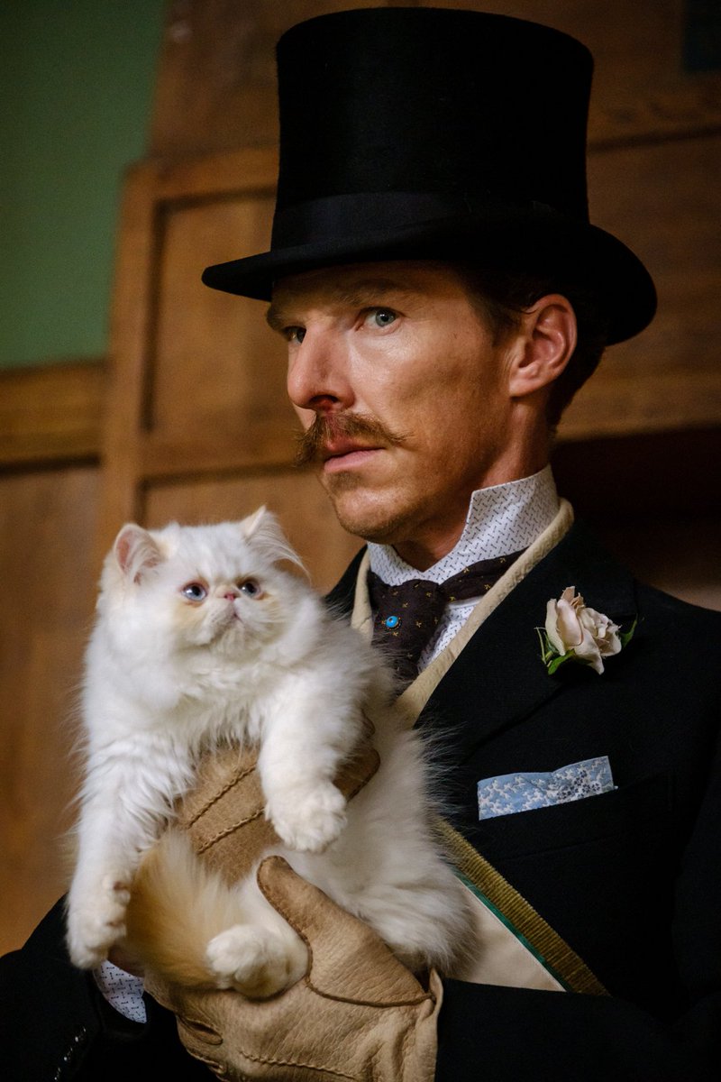 Discover kaleidoscope cats in the Canadian Premiere of Will Sharpe’s THE ELECTRICAL LIFE OF LOUIS WAIN: A portrait of an eccentric artist who introduces Victorian London to the delights of cats, starring Benedict Cumberbatch and Claire Foy. #TIFF21 bit.ly/3xI5HqV