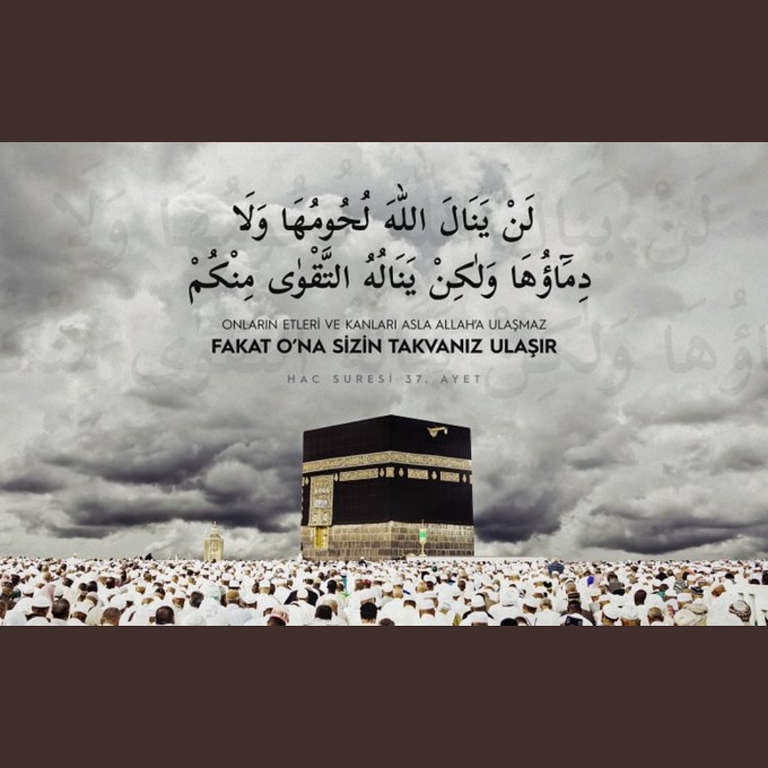 YHMED16's tweet photo. Mübarek KURBAN BAYRAMInız hayırlı olsun.Ülkemize, milletimize ve tüm İslâm Âlemine hayırlara vesile olsun, hayırlar getirsin.Kurbanınız kabul ve makbul olsun. https://t.co/vZafvora2n