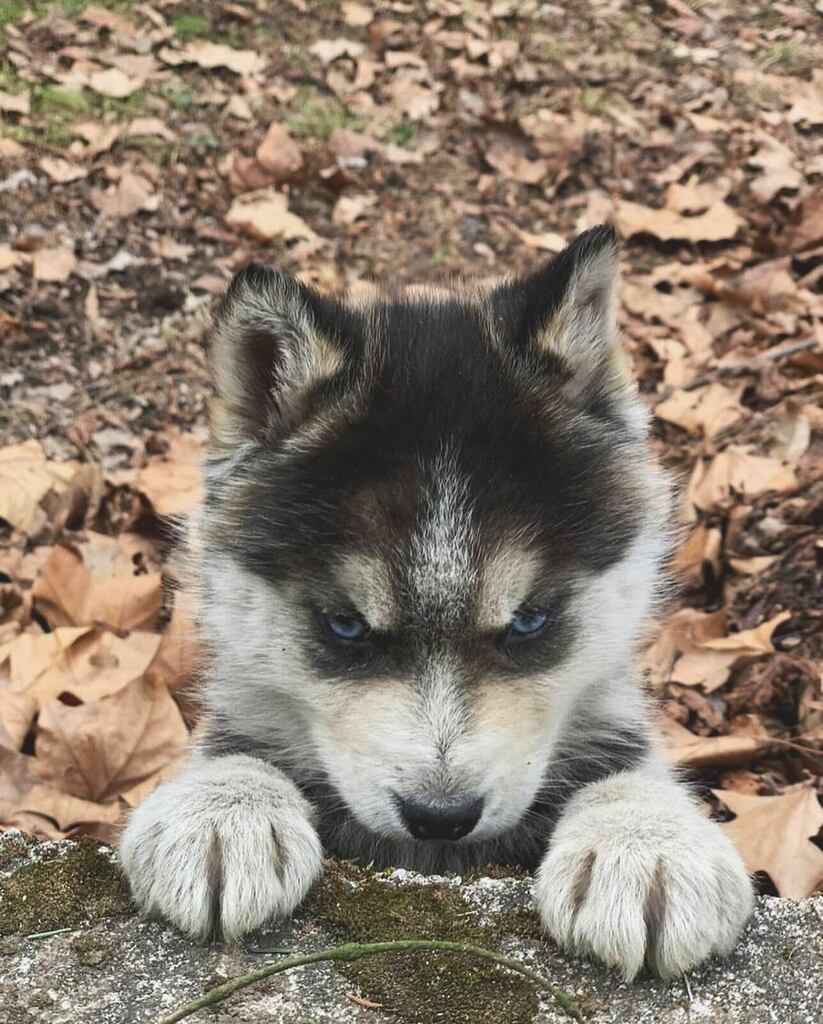 😡
🐾 <a href="/surejakovo/">surejakovo</a>