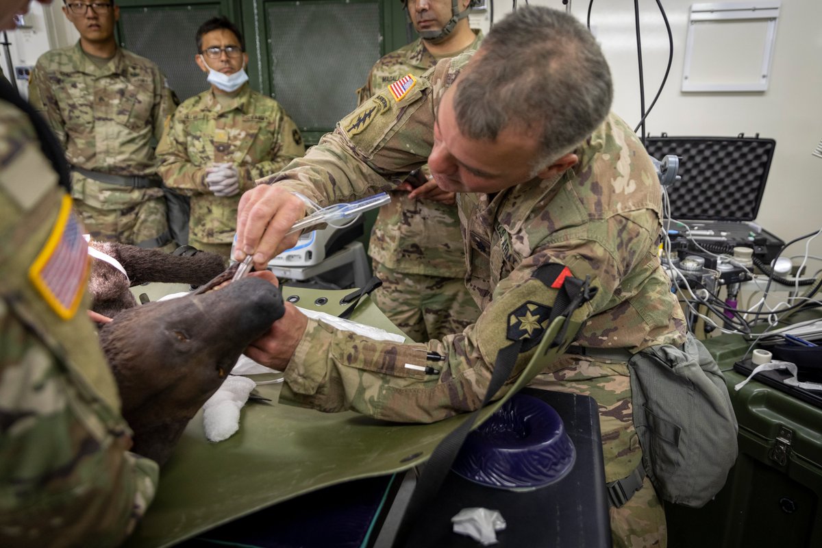807thmcds's tweet photo. Soldiers from the 804th Med. Bde. improve their medical skills and operation of what to do if they are deployed while at Regional Medic exercise at Fort McCoy, Wisconsin on July 10-24, 2021. (U.S. Army Reserve photos by Spc. Ronald D. Bell)
#3dMCDS #USArmyReserve #ArmyMedicine https://t.co/PUdAEO6Iym