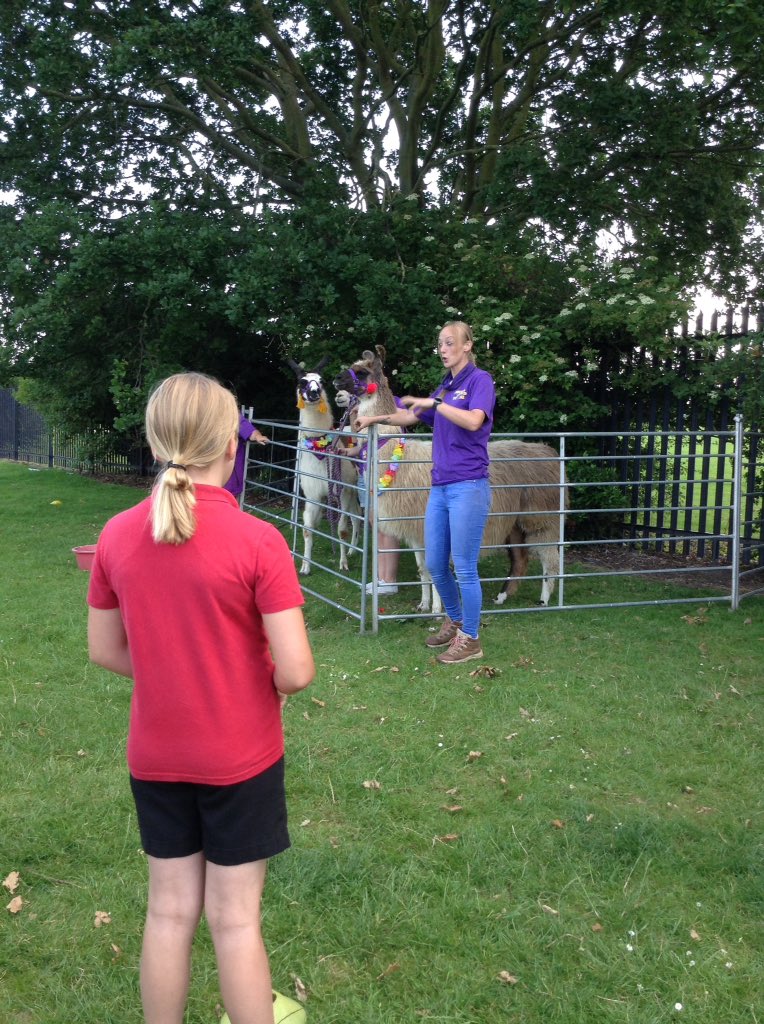 DisplayWBJS's tweet image. We have visitors @WBJJuniorSchool