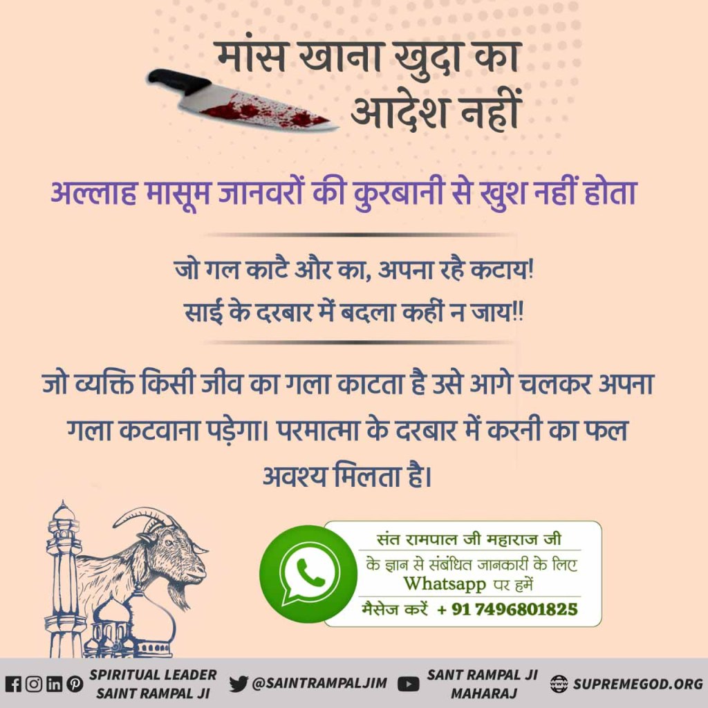हिंदूना इकोफ्रेंडली उत्सव साजरा करण्याचा सल्ला देणारे, बकरी ईद साजरी करण्यासाठी पण हाच सल्ला देण्याचे धाडस तरी दाखवतील का? 
हिंदूंनी दुजाभाव का सहन करावा? 
#बकरे_को_छोड़_दो 
#SaveGoats 
या भूतलावर सर्वांना जगण्याचा अधिकार आहे.