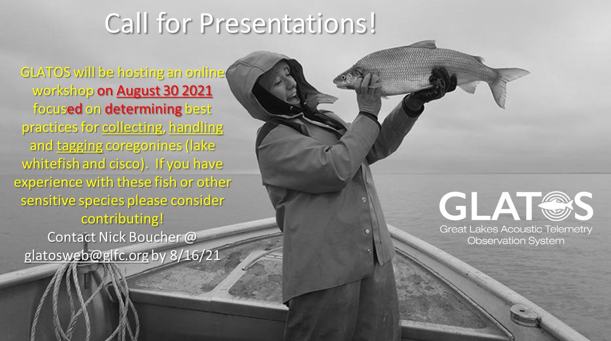 repost of the online workshop we're hosting re: handling coregonids (this time w/o the typos...)  please RT and forward as you see fit, would love to have some participation from European and Canadian researcher!