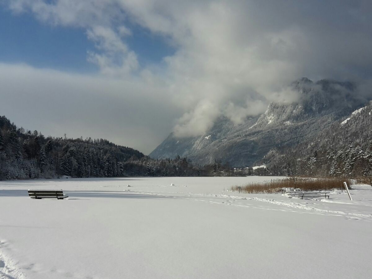 Angelika_Judge's tweet photo. Test post https://t.co/ooPRogBh42