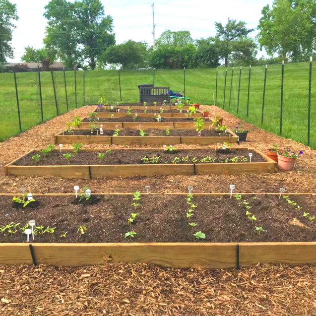 JFS St. Louis tweet media