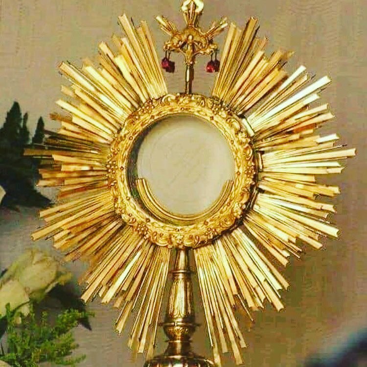 When you look at the crucifix, you understand how much Jesus loved you then. When you look at the Sacred Host, you understand how much Jesus loves you now. ~St Teresa of Calcutta
#Jesus #catholic