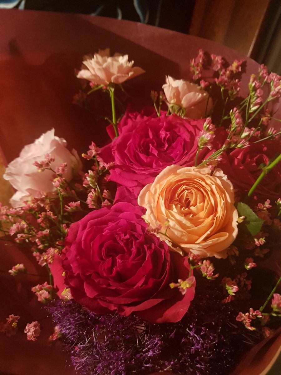 アウター テクニカル 説明する 渦巻 花束 2 Dr Eam Jp