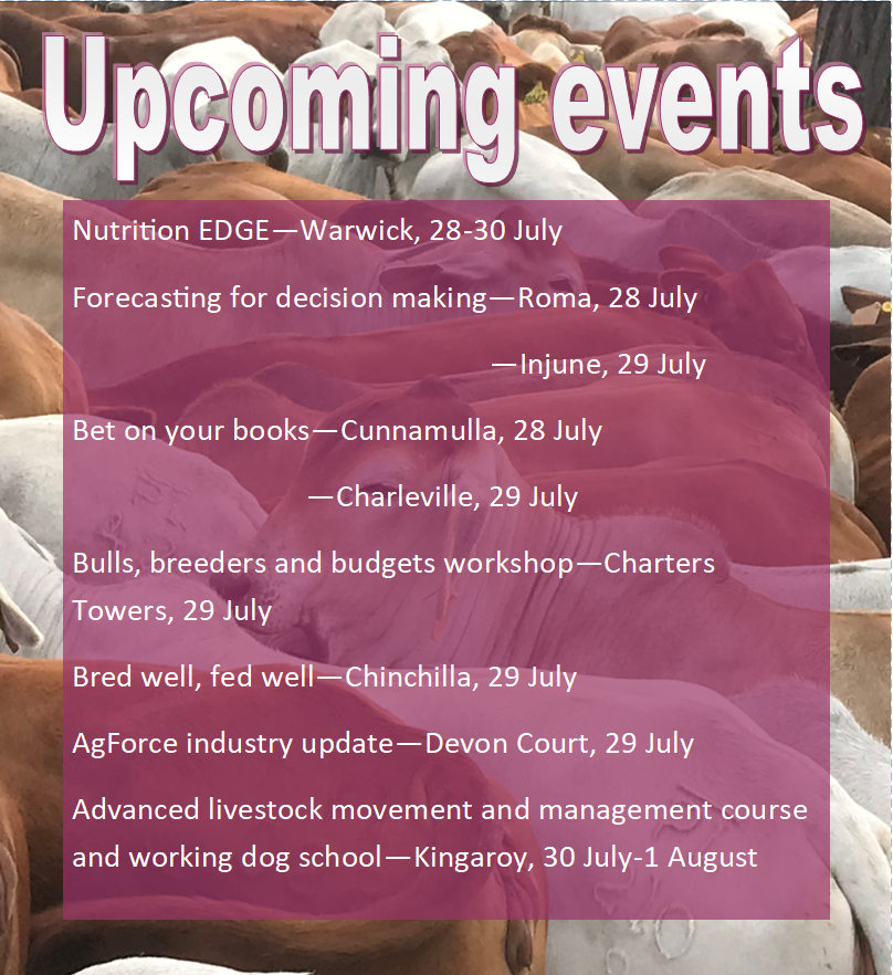 For more information about any of these events: futurebeef.com.au/events/

@DAFQld <a href="/meatlivestock/">Meat & Livestock Australia</a> <a href="/AgForceQLD/">AgForce Queensland</a>