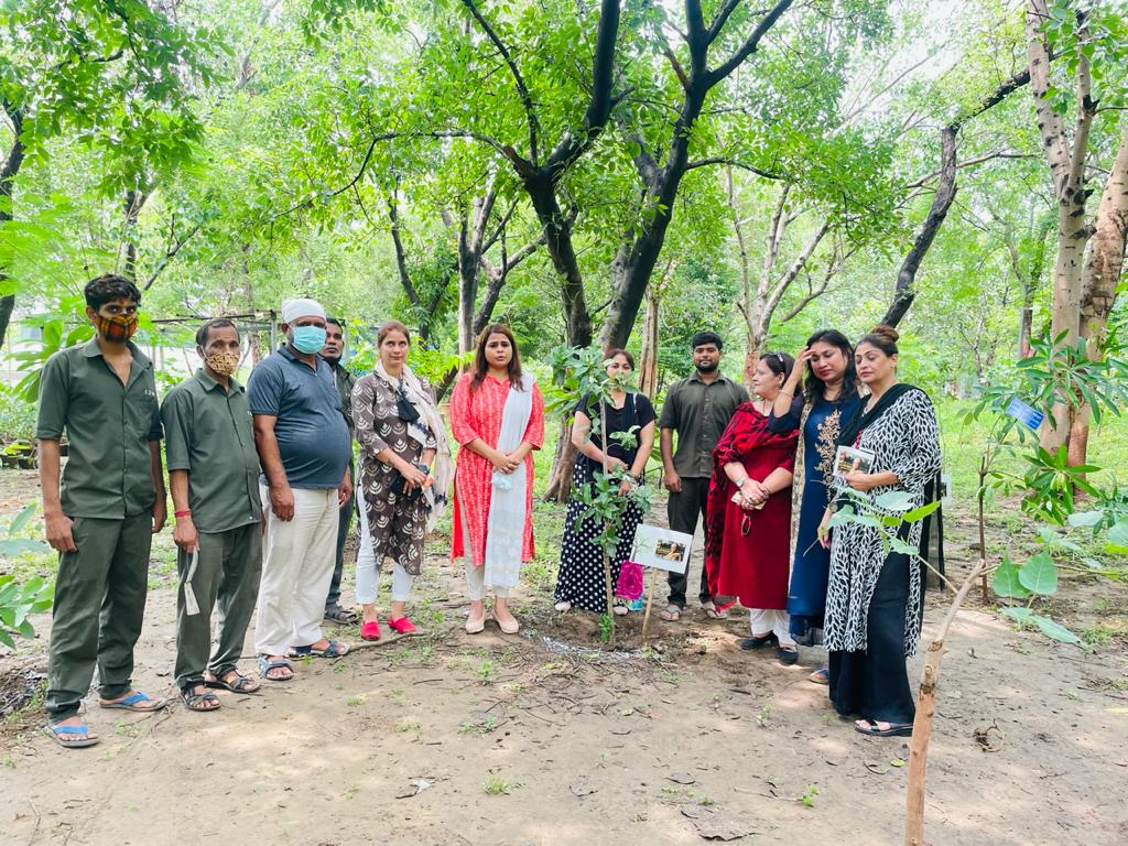 Priyajayant1's tweet photo. दिल्ली की पूर्व मुख्यमंत्री #शीलादीक्षित जी की पुण्यतिथि पर उन्हें श्रद्धांजलि अर्पित करते हुए  @DelhiPMC अध्यक्षा @AmritaDhawan1जी के नेतृत्व में राजीव गांधी स्मृति वन मे वृक्षारोपण किया  @INCDelhi उपाध्यक्ष @duttabhishek जी,दर्शना जाटव जी उपस्थित रहे 

#RememberingSheilaDixit https://t.co/q959rWOXqx
