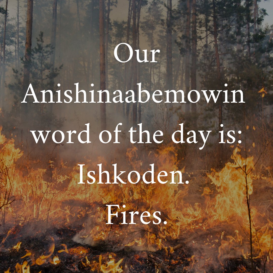 #Anishinaabemowin #Ojibwe