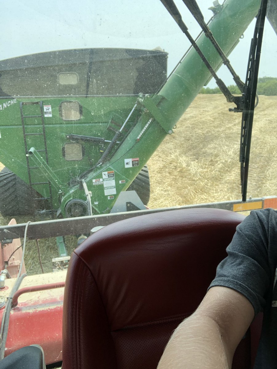 Picken rye and got the beast on the big cart #rye #brentavalanche #caseih