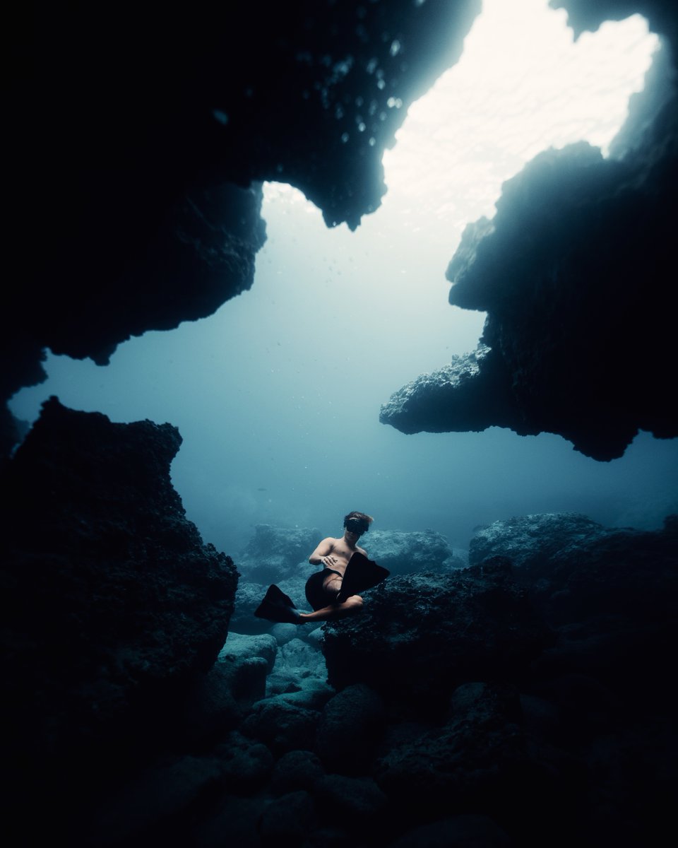 The Laylow tweet media