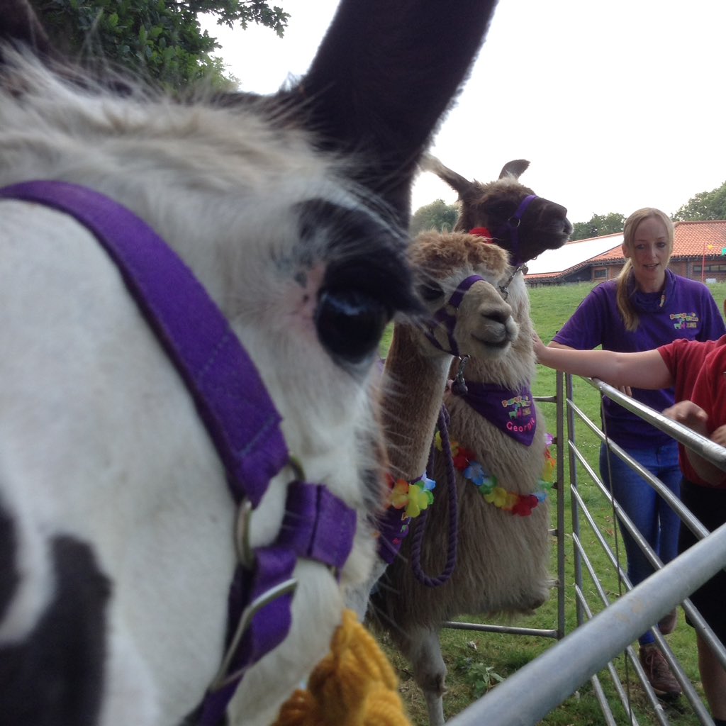 DisplayWBJS's tweet image. Someone's curious @WBJJuniorSchool