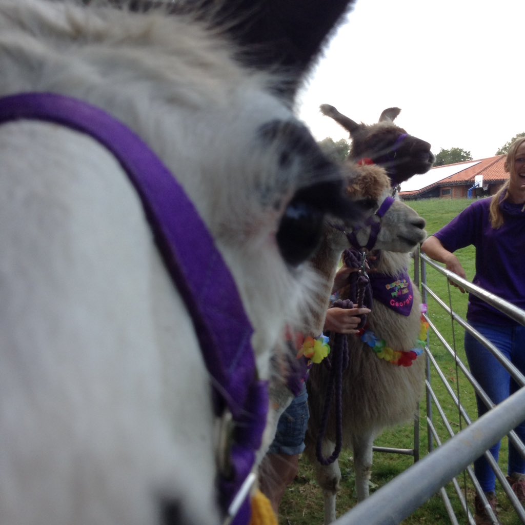 DisplayWBJS's tweet image. Someone's curious @WBJJuniorSchool