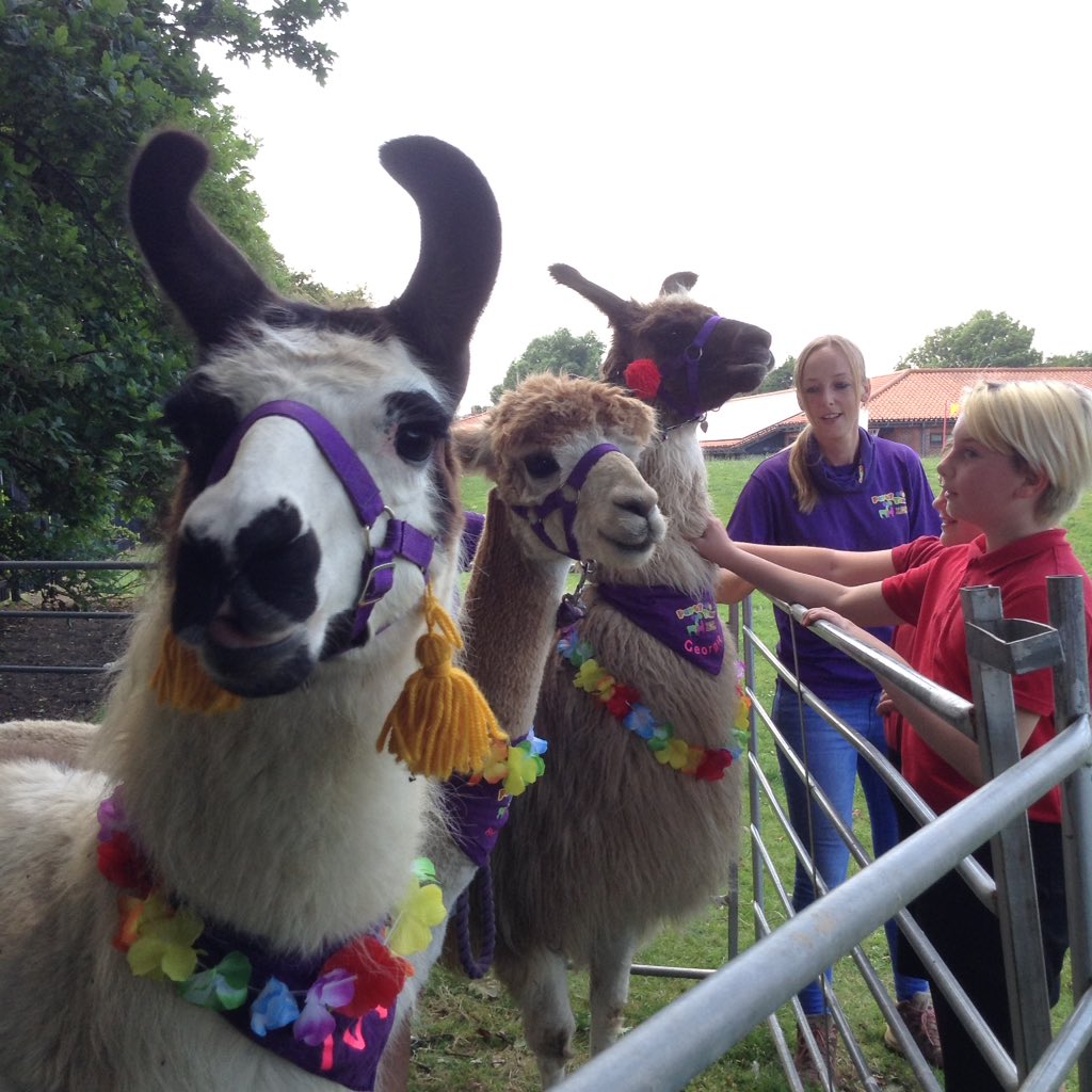 DisplayWBJS's tweet image. Someone's curious @WBJJuniorSchool