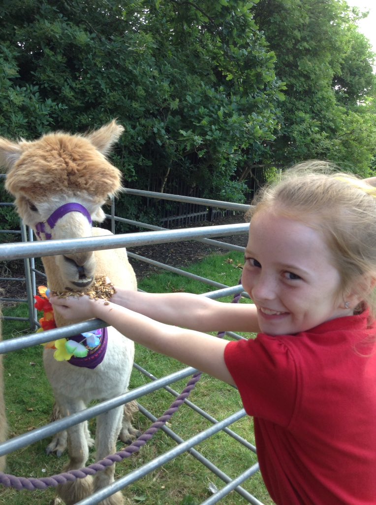 DisplayWBJS's tweet image. Huckleberry enjoyed his first day at school @WBJJuniorSchool