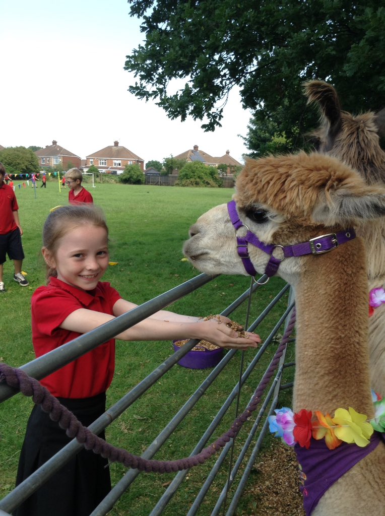DisplayWBJS's tweet image. Huckleberry enjoyed his first day at school @WBJJuniorSchool