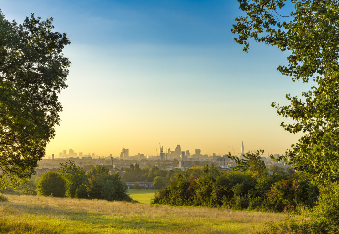 ImperialSPH's tweet photo. Living near woodlands is good for children and young people’s mental health according to new study led by @ToledanoMB, @MikaelMaes &amp; @ProfKateJones 

https://t.co/iUKgLgtlhb https://t.co/JV3bvFUGit