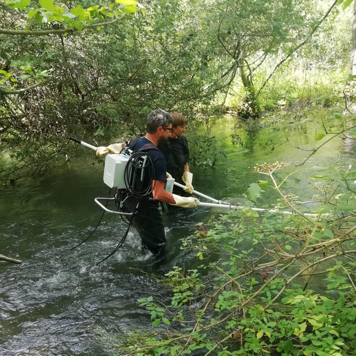 💦 Attività di campionamento #biota (insieme di organismi #vegetali e #animali che occupano un determinato spazio nell'ecosistema), per la classificazione delle acque superficiali.
📌Rio Brentella, Zoppola (PN)

#AlLavoroConArpaFVG #campionamento #acqua