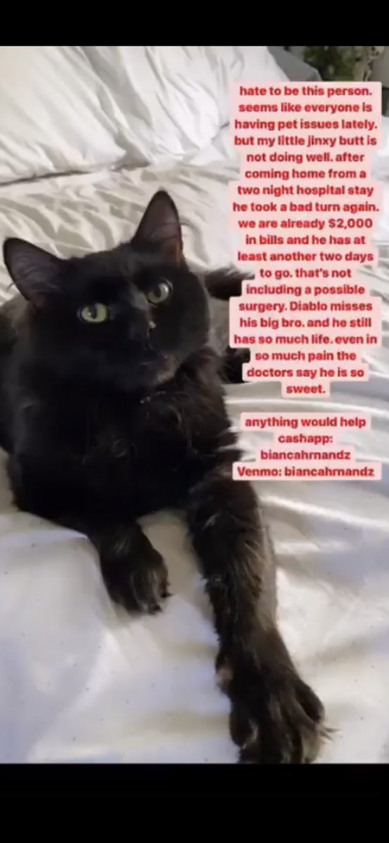 biancahrnandz's tweet photo. please read 🤍 https://t.co/FSF9msiQJv
