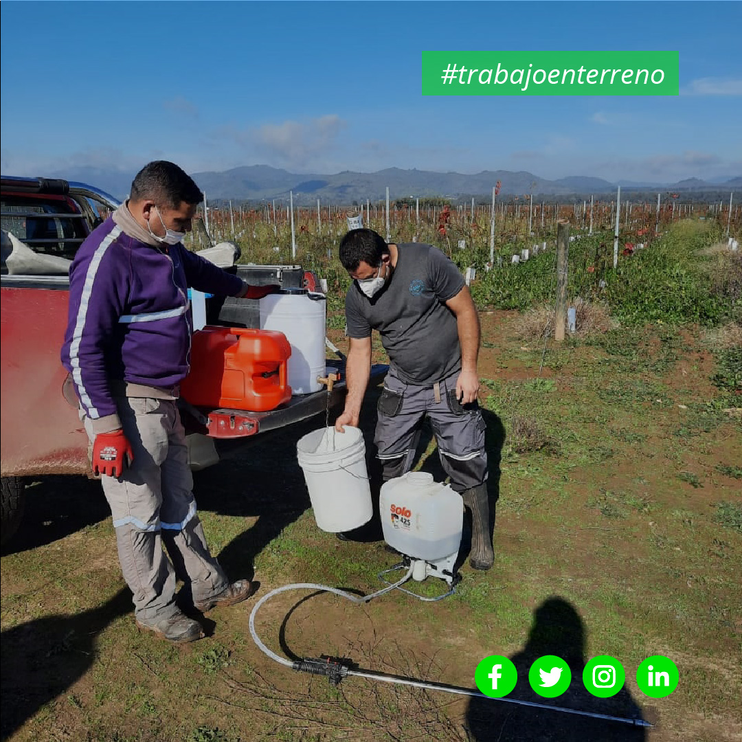 🌱Aplicación en ensayos de viñedos

Aplicaciones de reforzamientos para vives que fueron recién plantadas puedan tener éxito en su crecimiento👌

📌Trabajo llevado a cabo en Viñedos zona de San Vicente

#innovacion #agricultura #tecnologia #mejoragricultura #praderas #viñedos