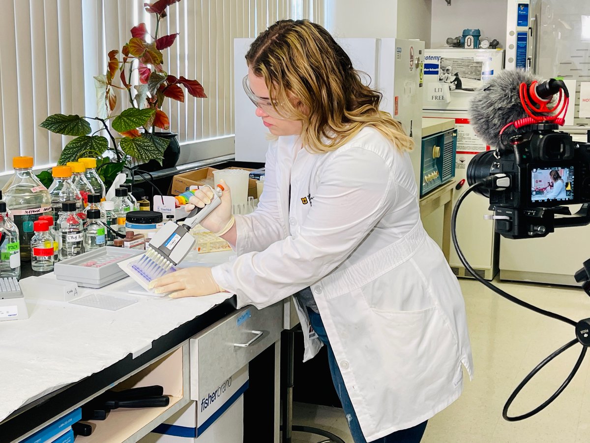 Cosmic Sauce tweet media