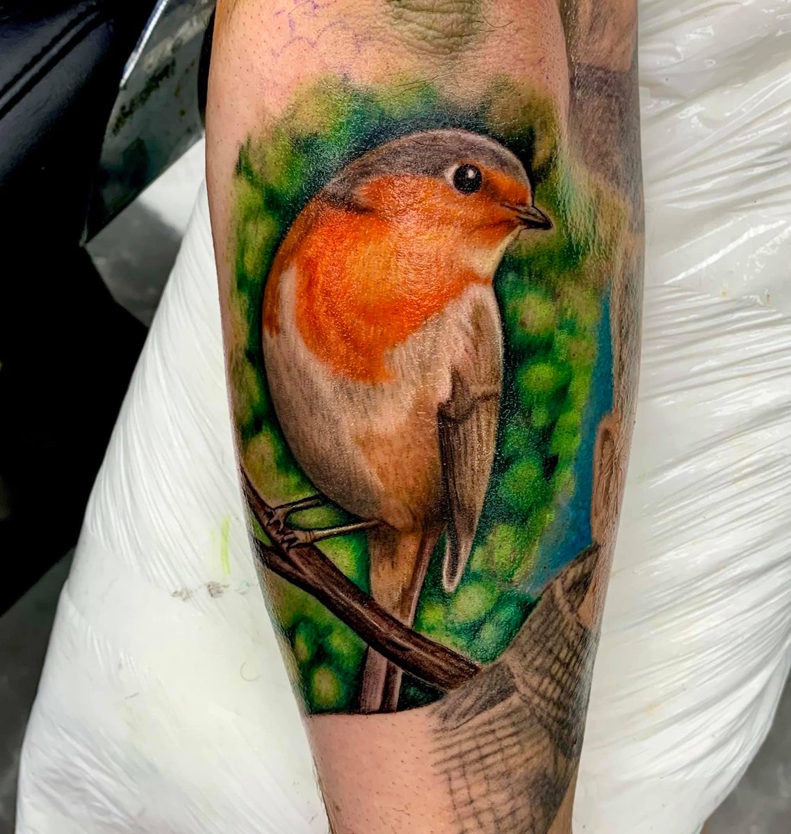 Robin Tattoo | This is a tattoo I had the good fortune to ta… | Flickr