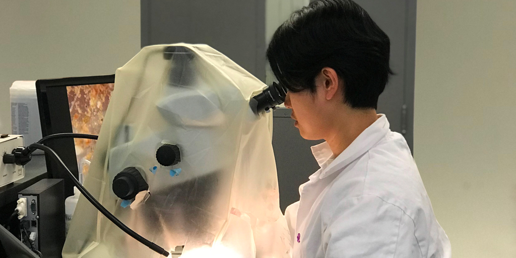 OceanWise's tweet photo. A new study by @OceanWise finds that washing machine filters can reduce up to 90% of microfiber pollution. View highlights of the study and download the full report here: https://t.co/vsSUqduljS
#BePlasticWise #OceanPollution #Microfibers #PlosOne https://t.co/byHdwqPCmZ