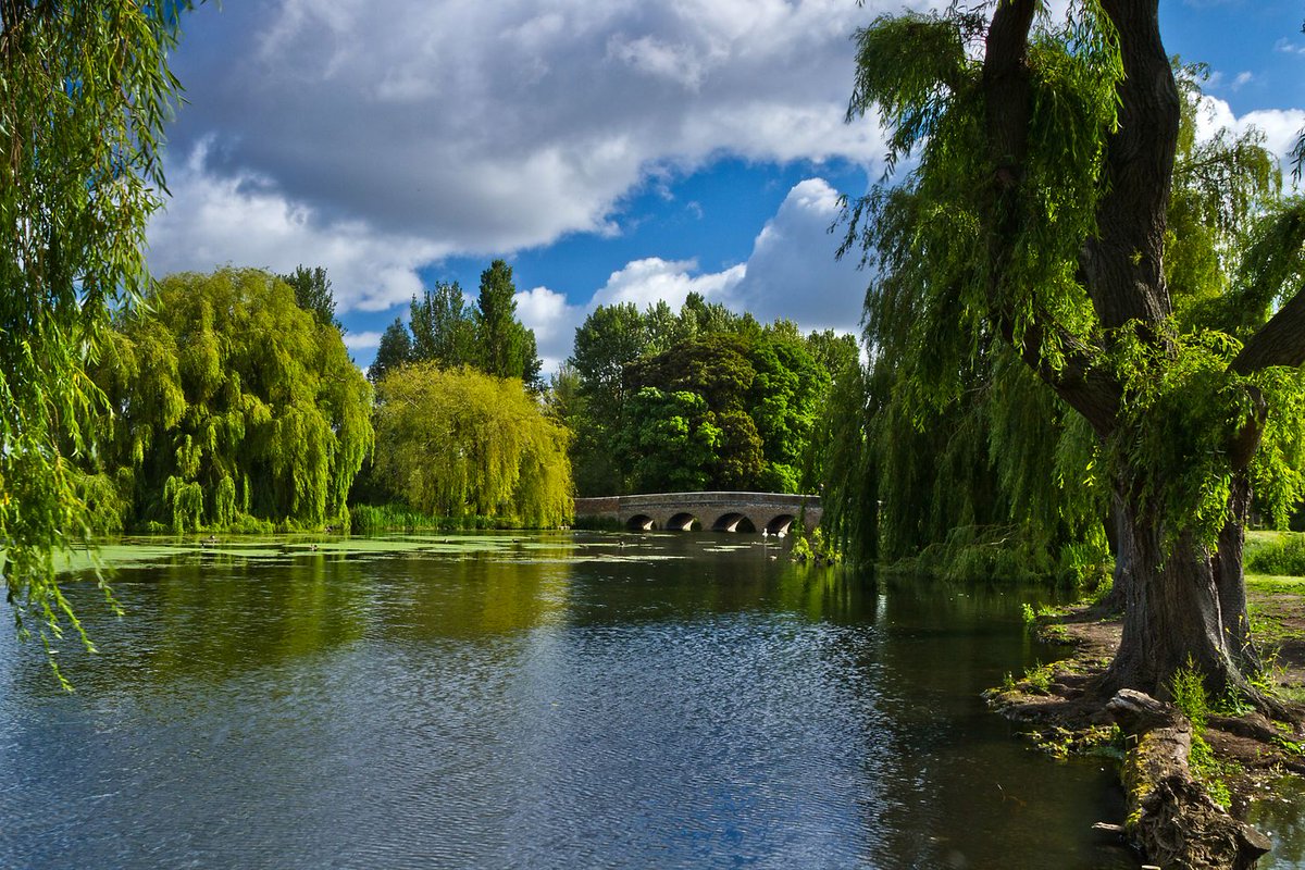 images_ian's tweet photo. Five Arches Bridge, Footscray Meadows, Greater London https://t.co/ptvPBJM3zI