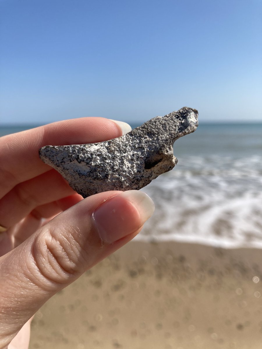 It’s not just me seeing a whale…right? 

#pebbleoftheday ⁦<a href="/PoetDeanwilson6/">Dean Wilson</a>⁩ #norfolk